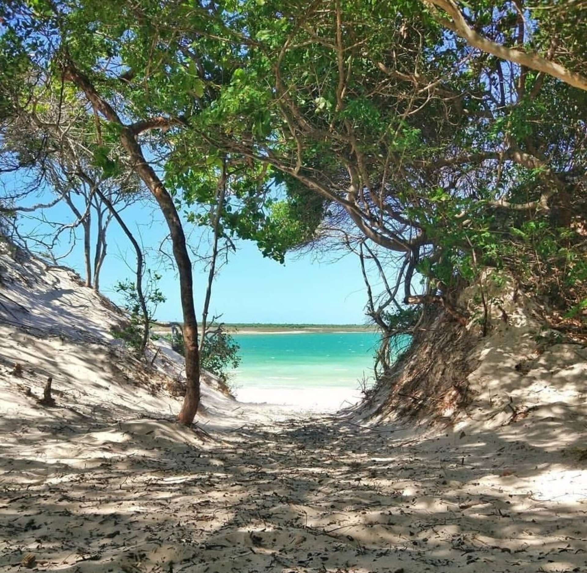 Saída de Jericoacoara: Praia do Preá e Lagoa do Paraíso — foto 3